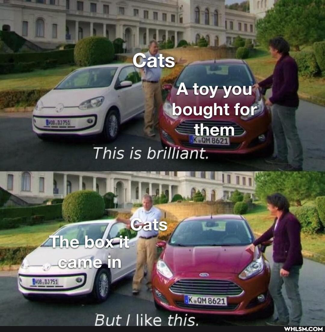 Cats
A toy you bought for them
ry Pplinayst
Cats
The box 'it
th
tent,came in