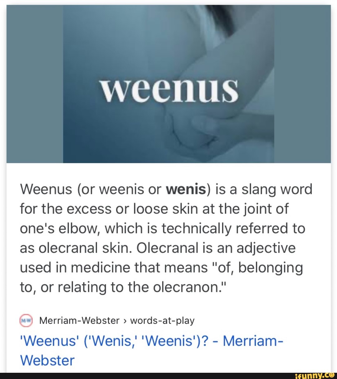 What Does 'Weenus' Mean?, Slang Definition of Weenus