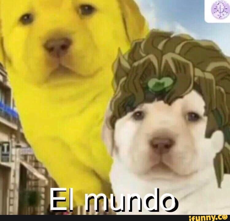 engraçado, brasileiro, destaque, eua, destaques, brasil, animes, anime, catioro