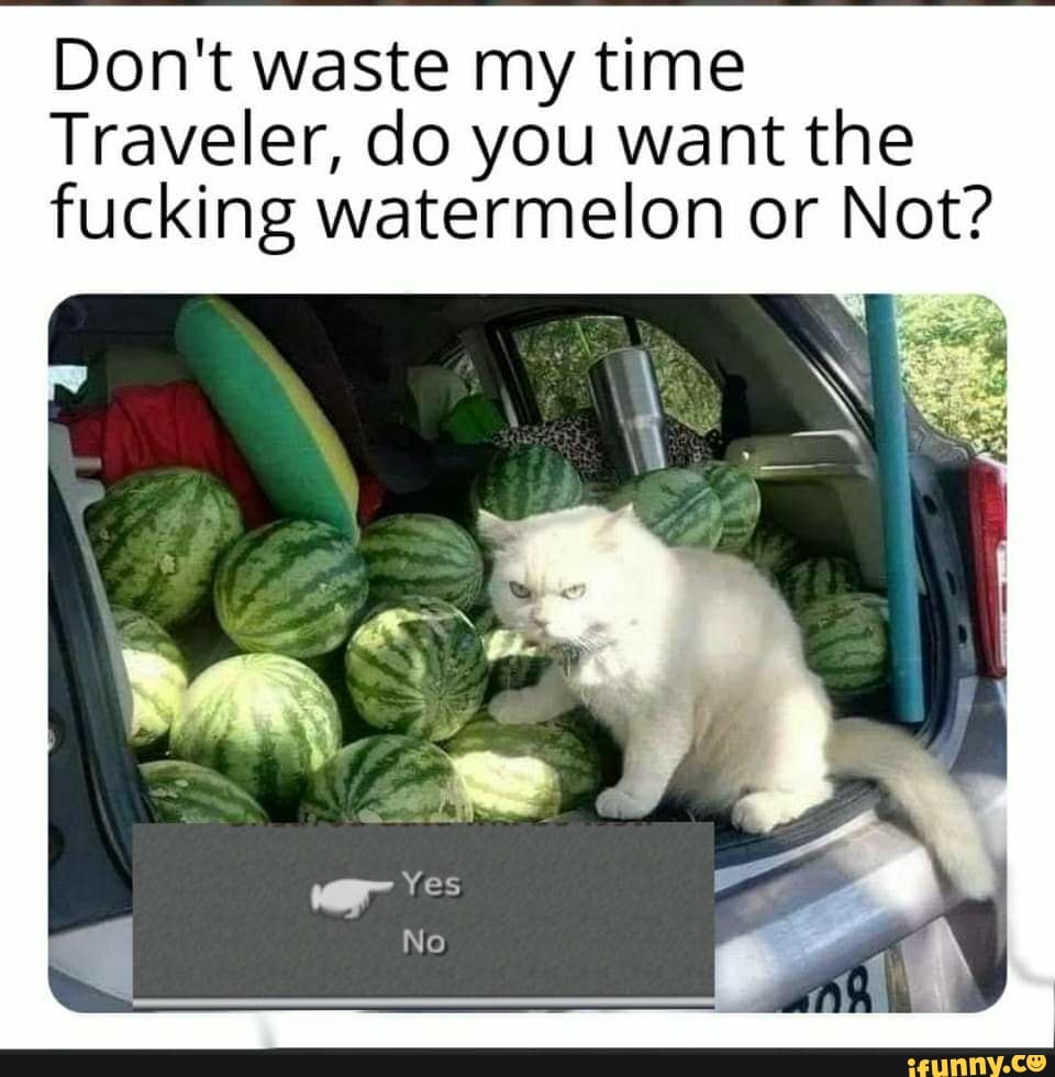 Don't waste my time
Traveler, do you want the
fucking watermelon or Not?