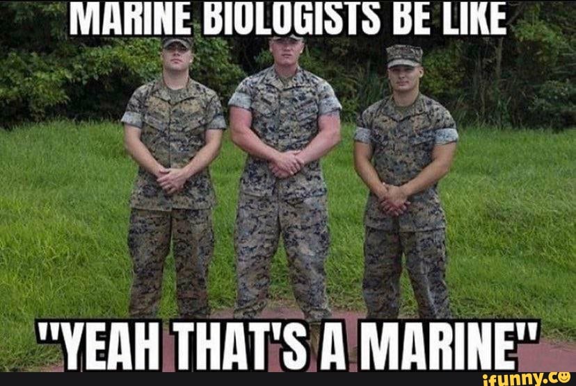 MARINE BIOLOGISTS BE LIKE 