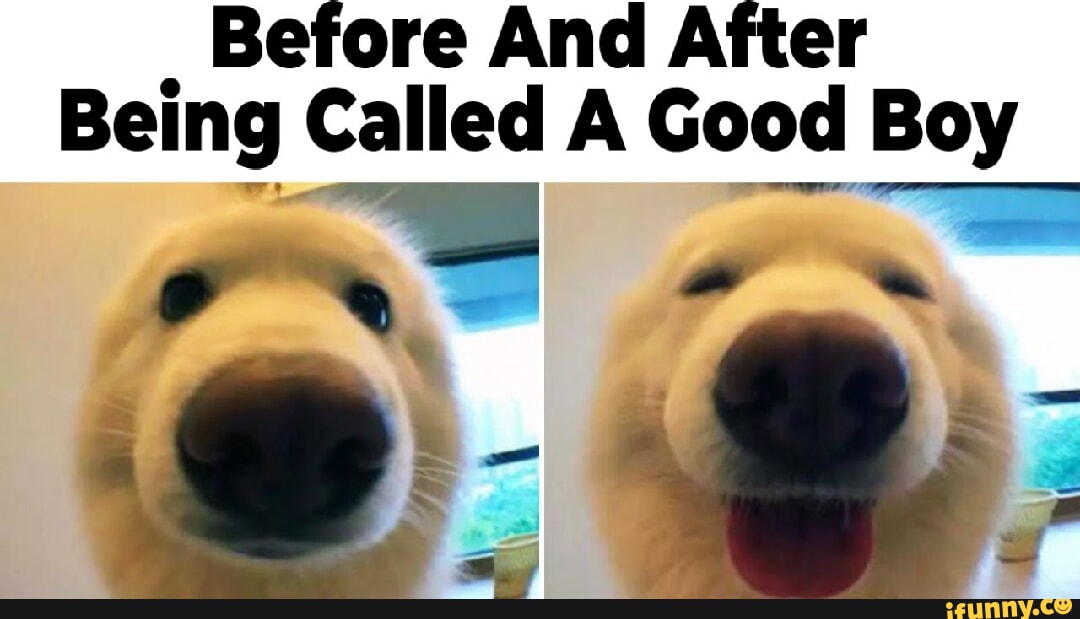 Before And After Being Called A Good Boy Nae Bin Ifunny