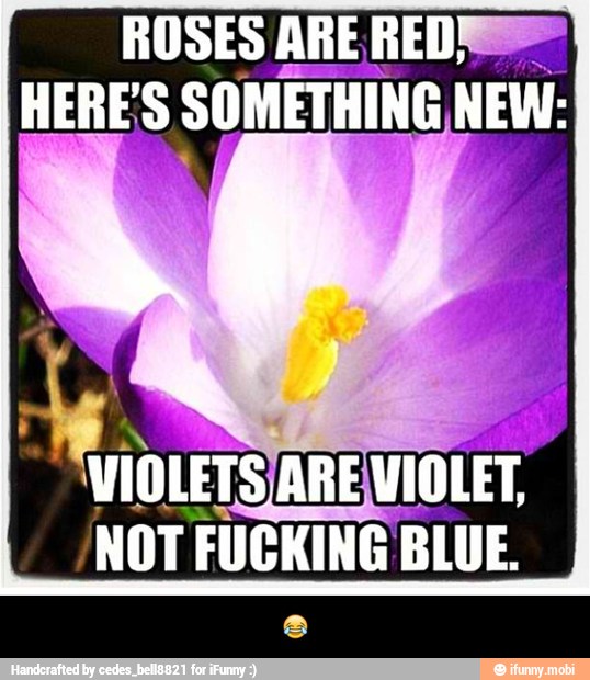 ROSES ARE RED e
HERE J SOMETHING NEW:
be
4
NOT FUCKING BLUE. - π
