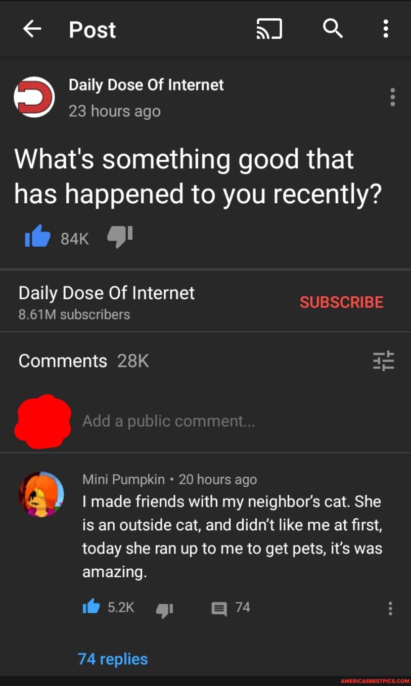 Post
Daily Dose Of Internet
23 hours ago
What's something good that has happened to you recently?
1@ sax
Daily Dose Of Internet
8.61M subscribers
SUBSCRIBE
Comments
IL Tl
Mini Pumpkin 20 hours ago made friends with my neighbor's cat. She
is an outside cat, and didn't like me at first, today she ran up to me to get pets, it's was amazing.
5.2K gl
74 replies