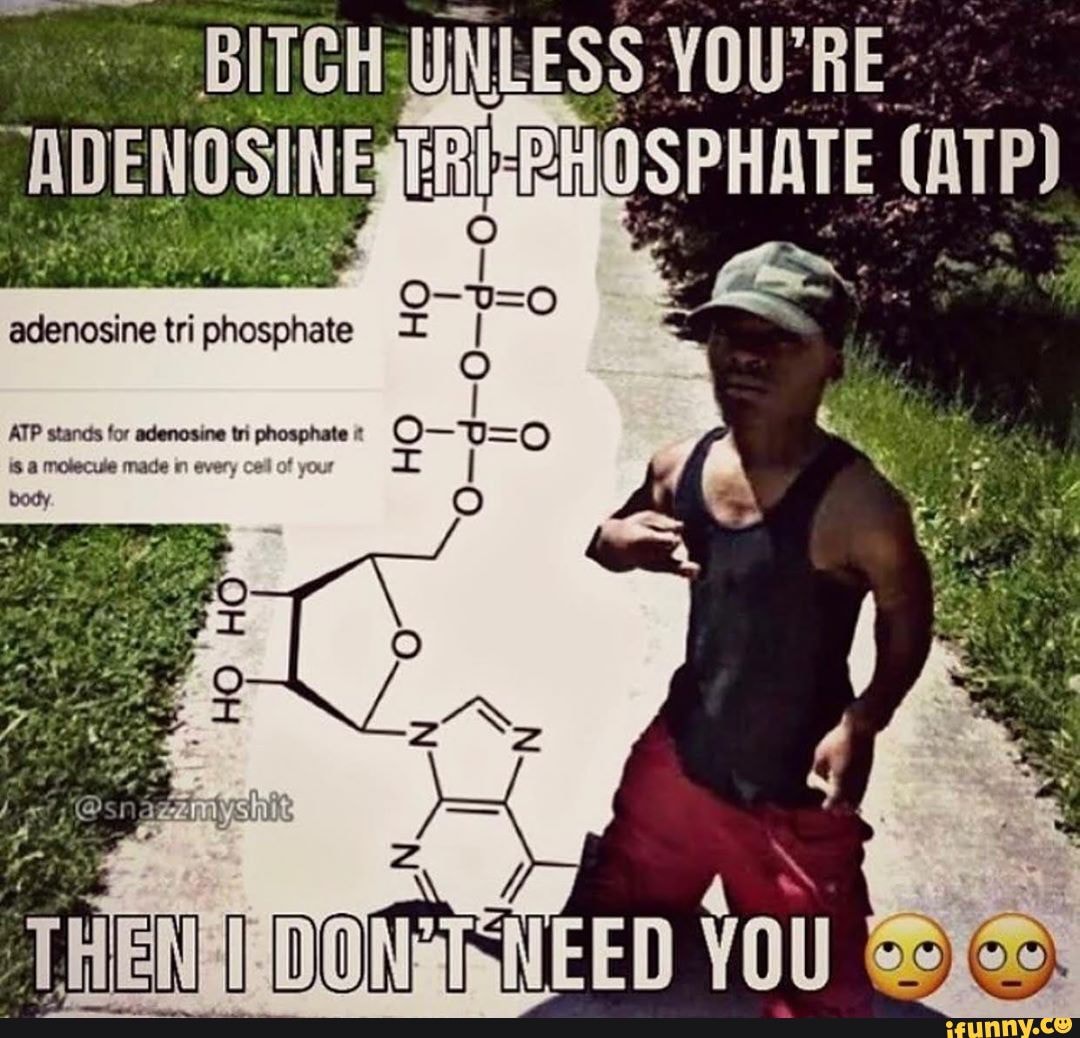 atp-stands-for-adenosine-tri-phosphate-is-a-molecule-made-every-cell-of