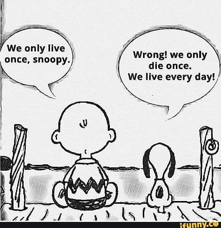 We only live once, snoopy. Wrong! we only die once. We live - iFunny