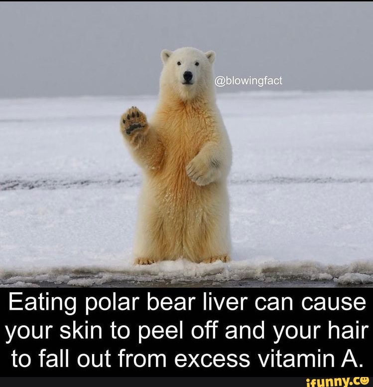 Eating polar bear liver can cause your skin to peel off and your hair