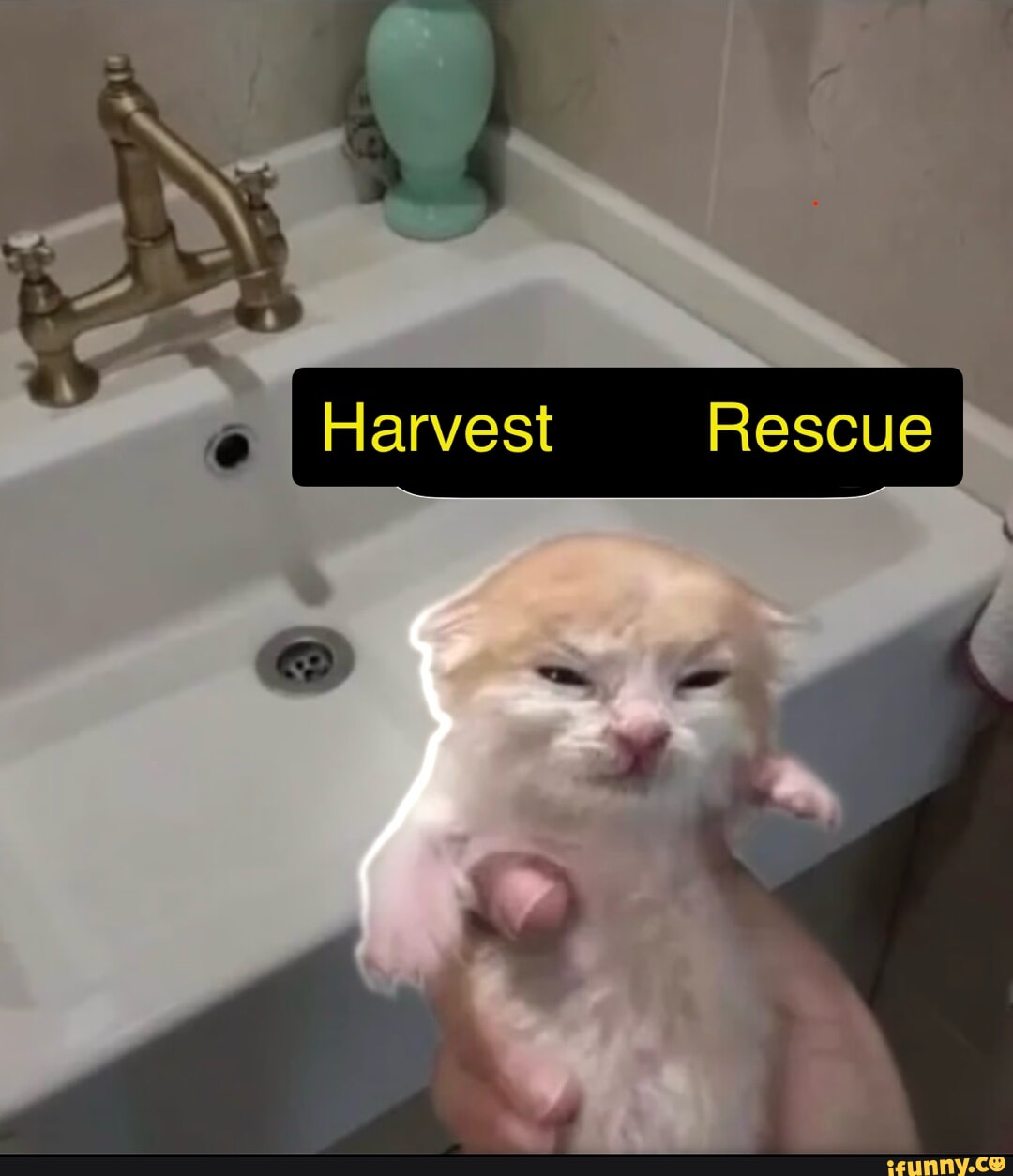 Rescue memes. Best Collection of funny Rescue pictures on iFunny