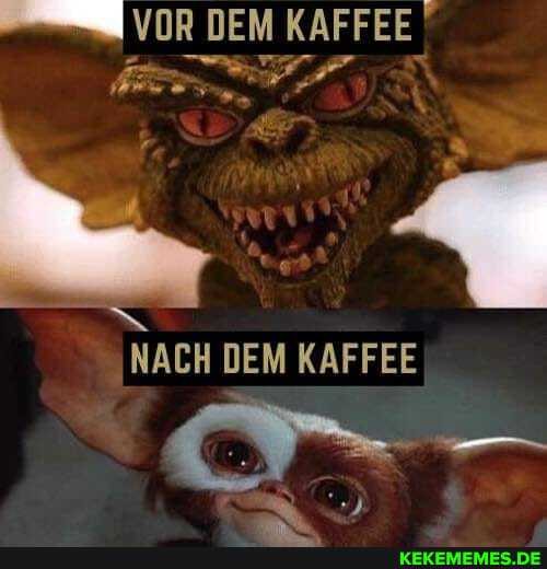 VOR DEM KAFFEE
NACH DEM KAFFEE