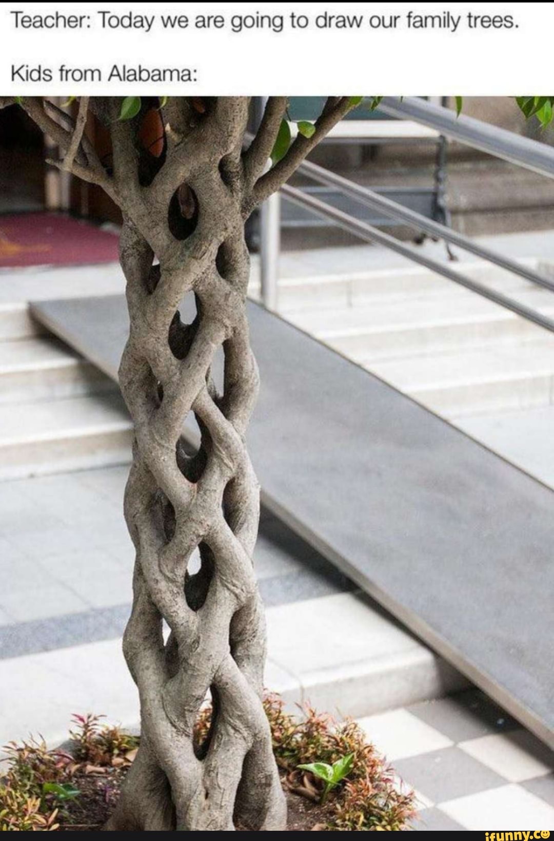 Teacher: Today we are going to draw our family trees.
Kids from Alabama: