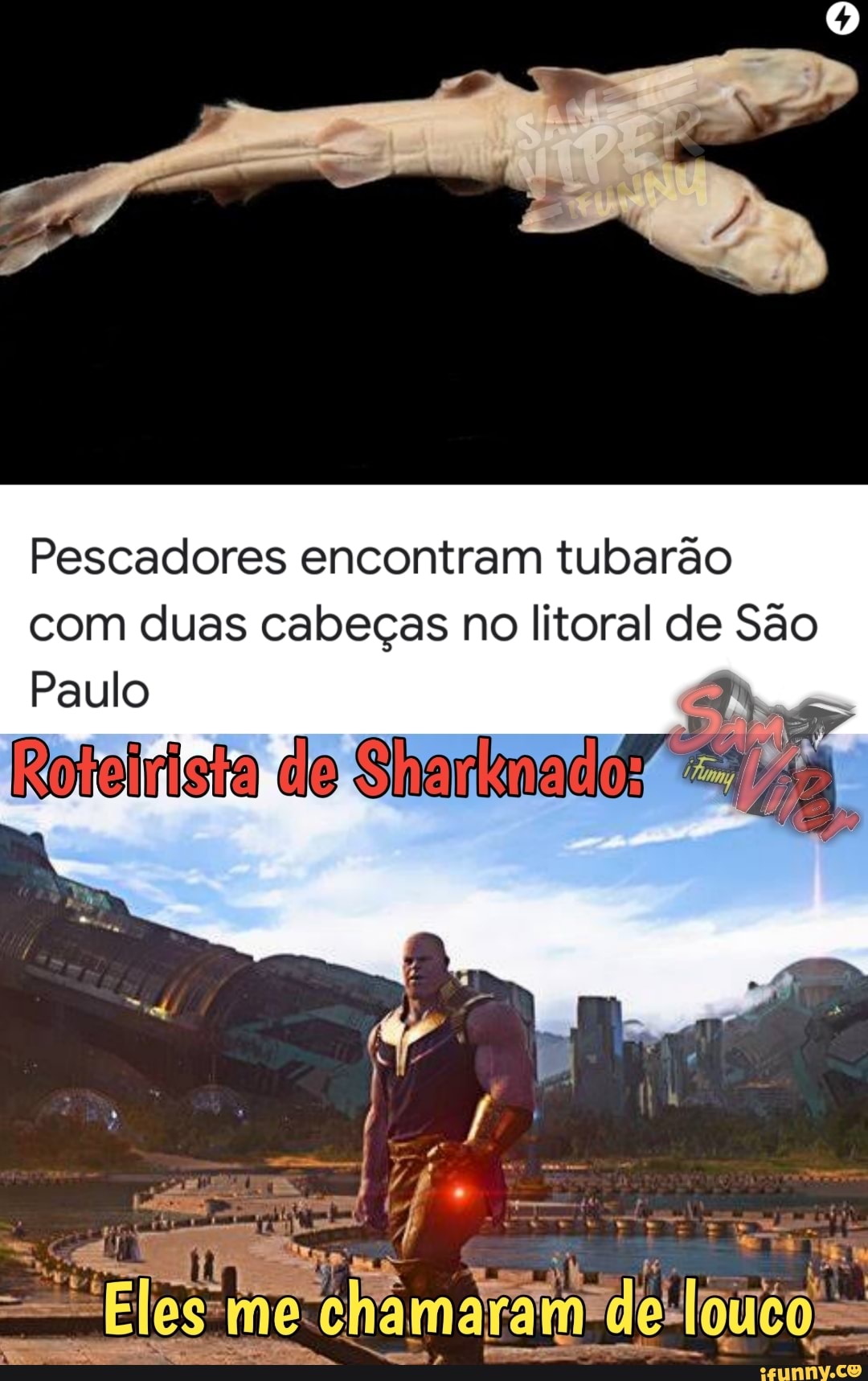 Pescadores encontram tubarão com duas cabeças no litoral de São
Paulo
Roteirisia de