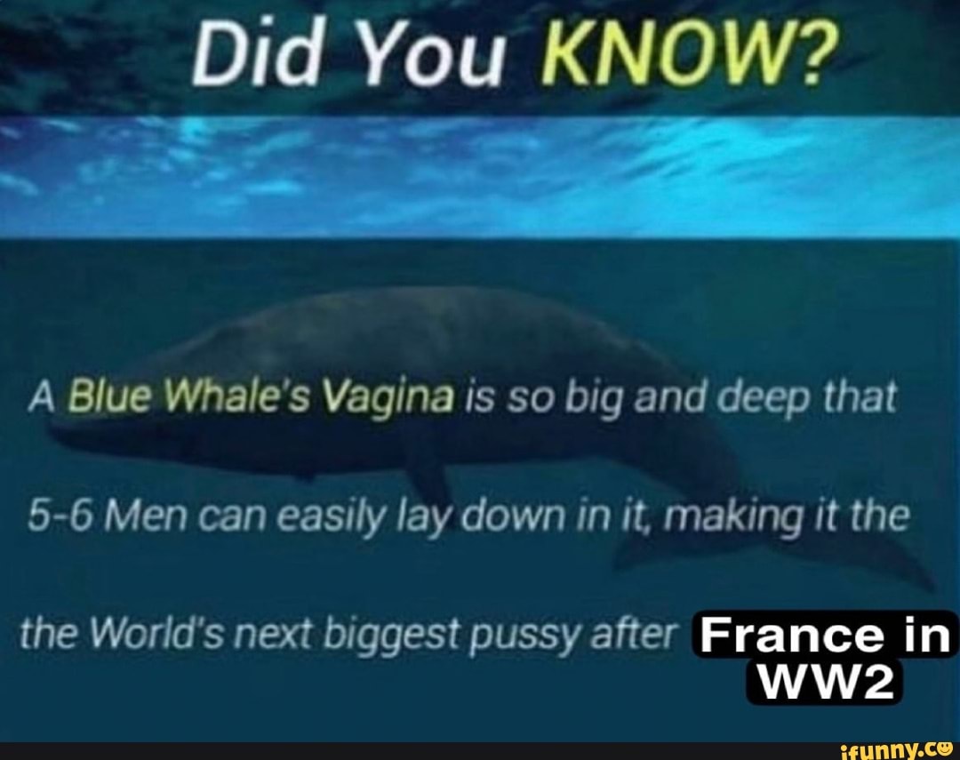 Biggest Vagina In The World