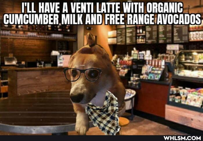 I'LL HAVE A VENTI LATTE WITH ORGANIC CUMCUMBER MILK AND FREE RANGE AVOCADOS