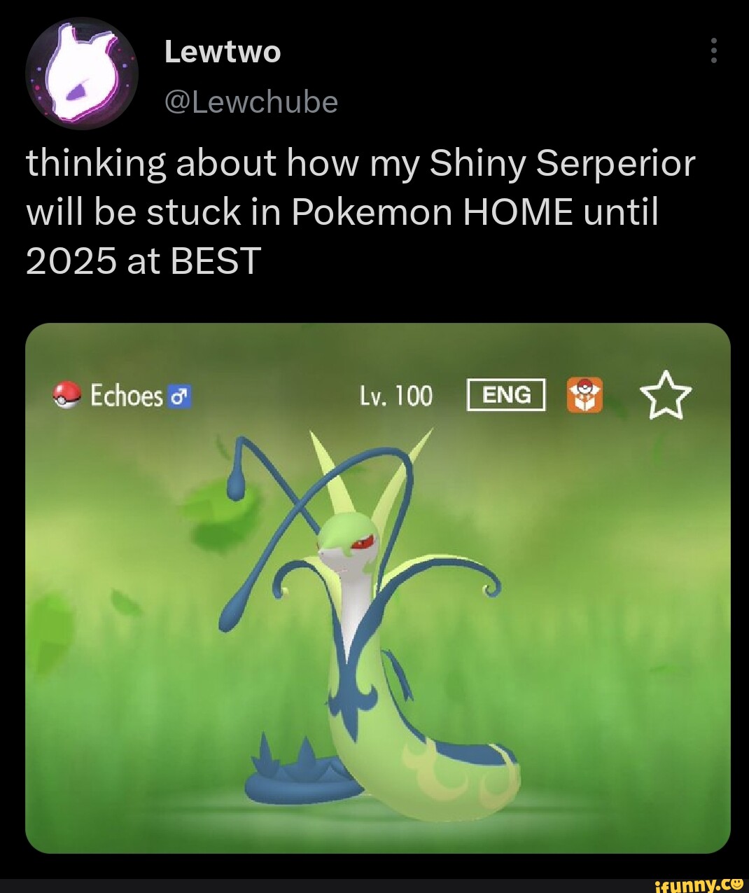 Lewtwo Lewchub thinking about how my Shiny Serperior will be stuck in