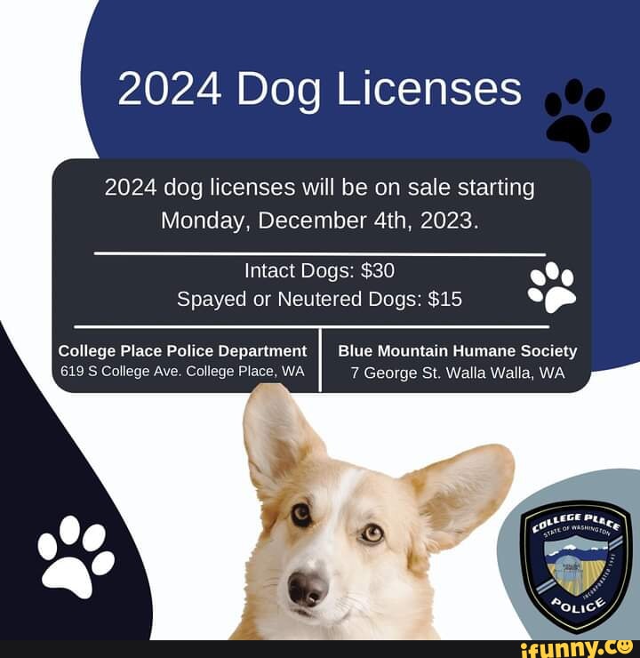 2024 Dog Licenses 2024 Dog Licenses Will Be On Sale Starting Monday   2c099c0d6c3d1cae0769cbf52538ff4c56ad0f4b80c459fa309a5a412388cc30 1 