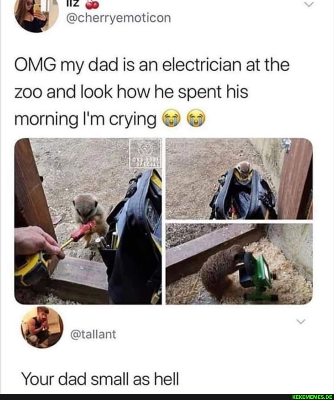 @cherryemoticon
OMG my dad is an electrician at the
Zoo and look how he spent his morning I'm crying @
'@tallant
Your dad small as hell