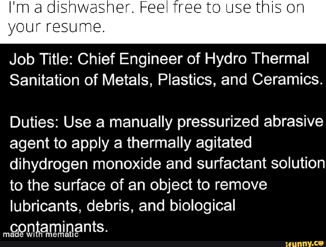 I'm a dishwasher. Feel free to use this on your resume. Job Title