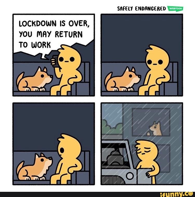 SAFELY ENDANGERED Wey LOCKDOWN IS OVER, YOU MAY RETURN TO WORK - iFunny ...