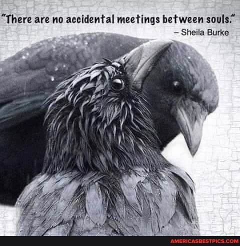 "There are no accidental meetings between souls,
Sheila Burke