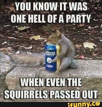 drunk squirrel meme