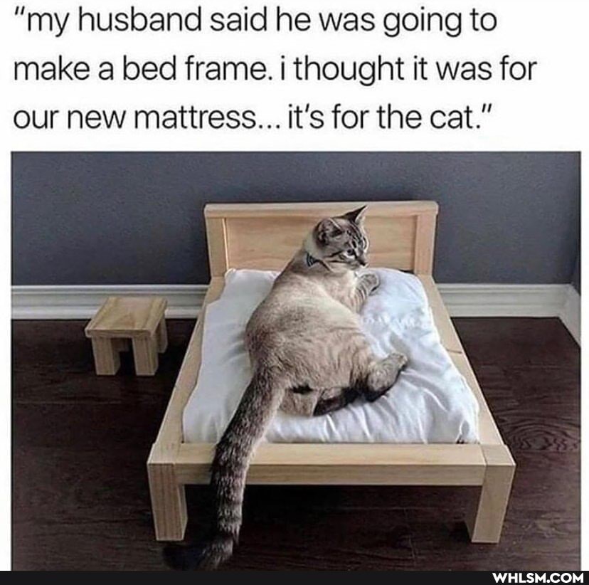 "my husband said he was going to make a bed frame. i thought it was for our new mattress... it's for the cat."