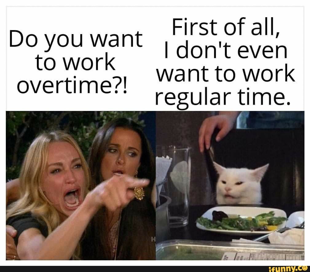 Even the cat. Karen the cat.
