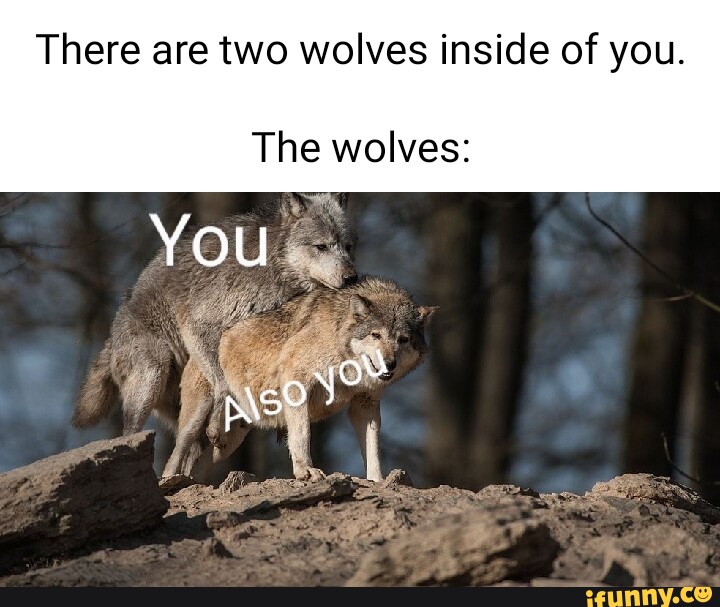 Wolves memes. Best Collection of funny Wolves pictures on iFunny