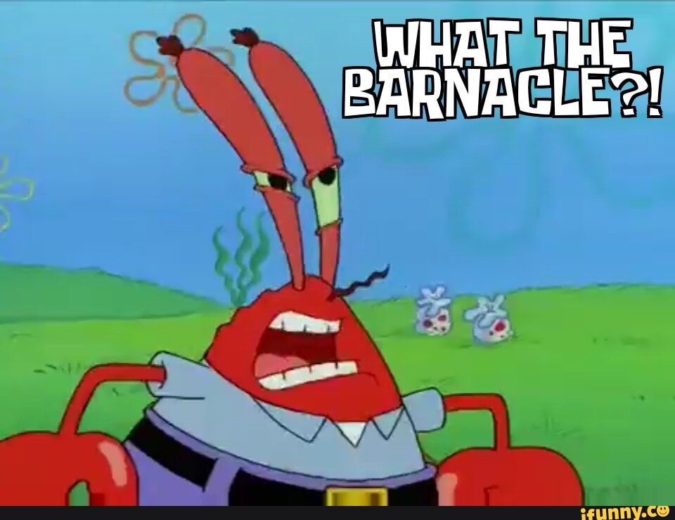 Barnacle memes. Best Collection of funny Barnacle pictures on iFunny