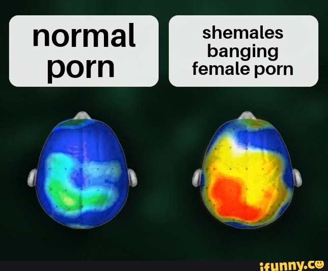 Shemale Porn Meme - Shemales memes. Best Collection of funny Shemales pictures on iFunny Brazil