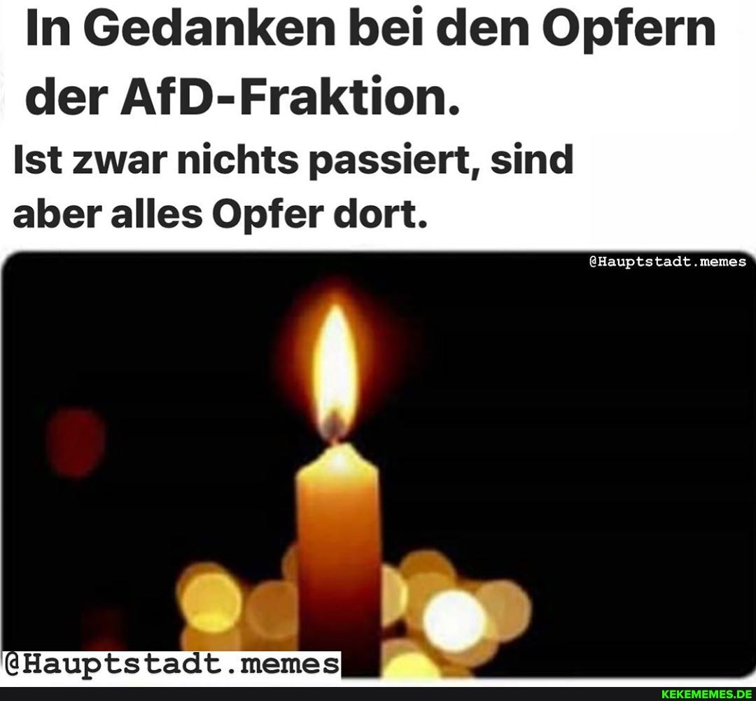 In Gedanken bei den Opfern der AfD-Fraktion.
@Hauptstadt.memes
Ist zwar nichts passiert, sind aber alles Opfer dort.