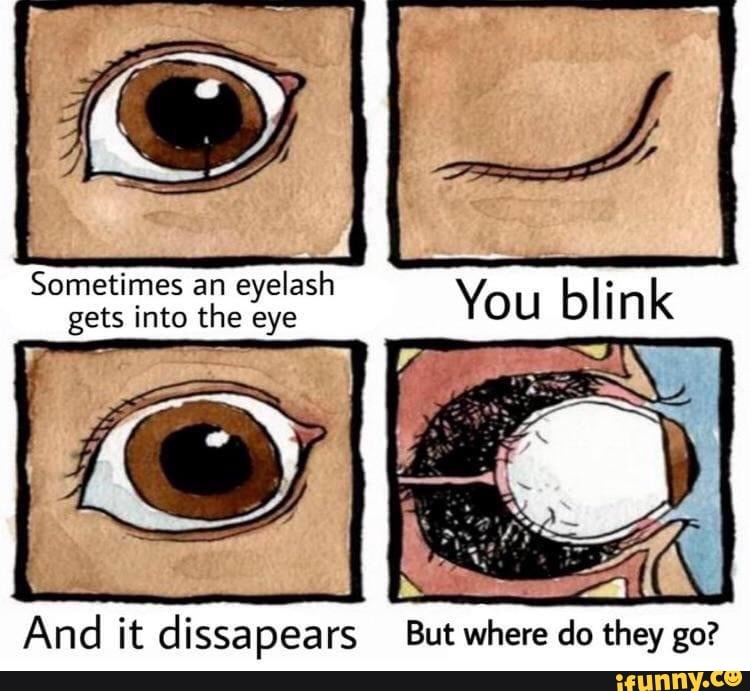 E Sometimes an eyelash gets into the eye You bl I And it dissapears But