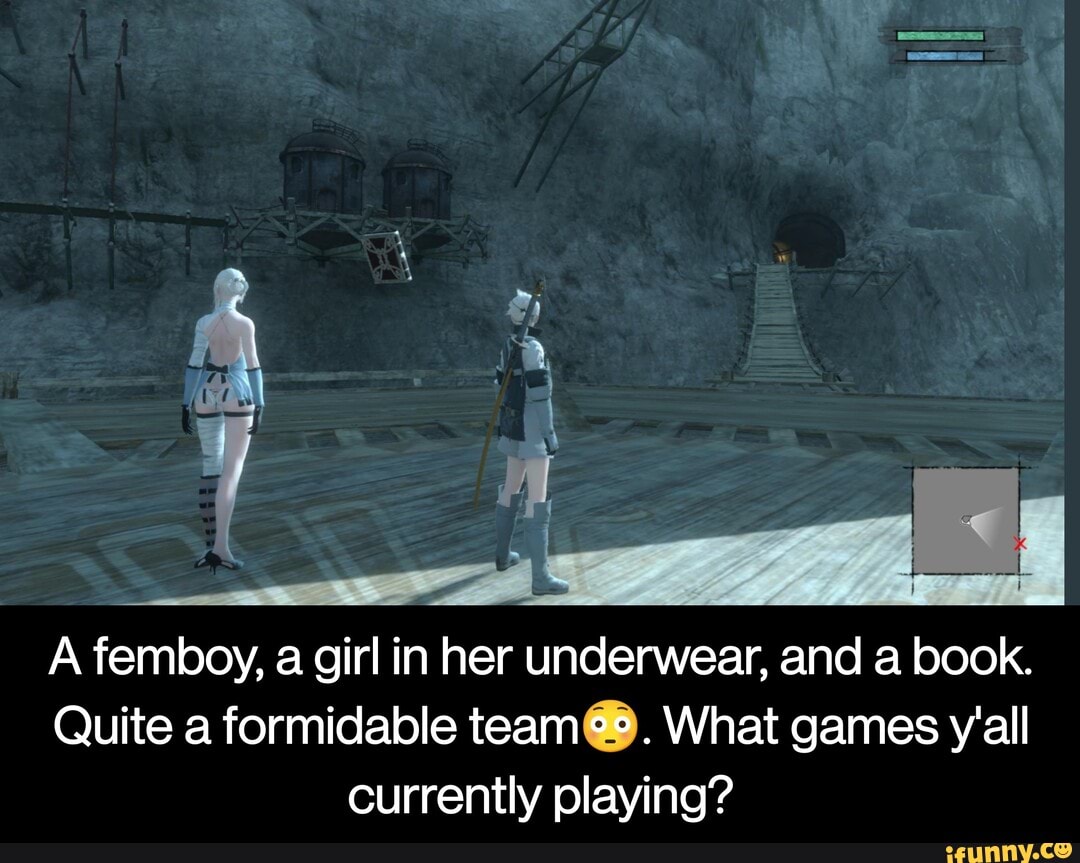 a-femboy-a-girl-in-her-underwear-and-a-book-quite-a-formidable-team-what-games