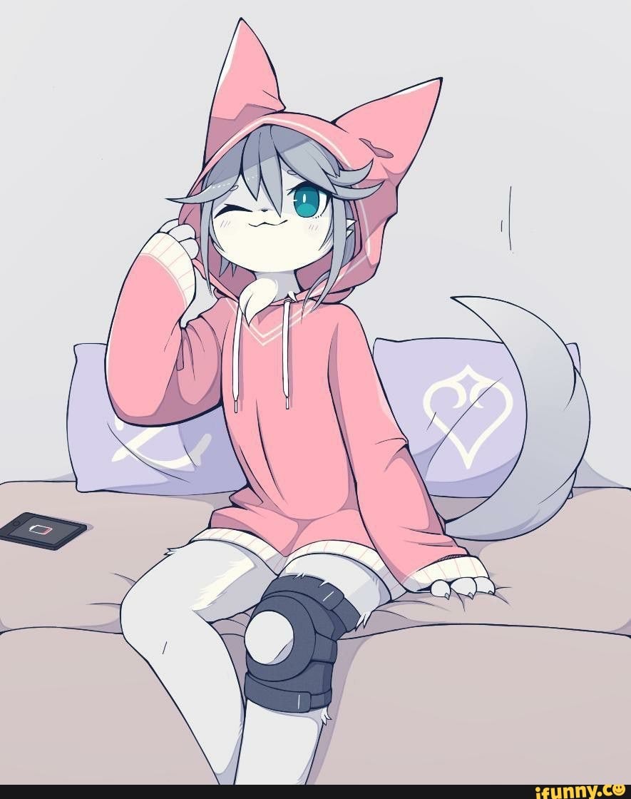 Furry Femboy Cute