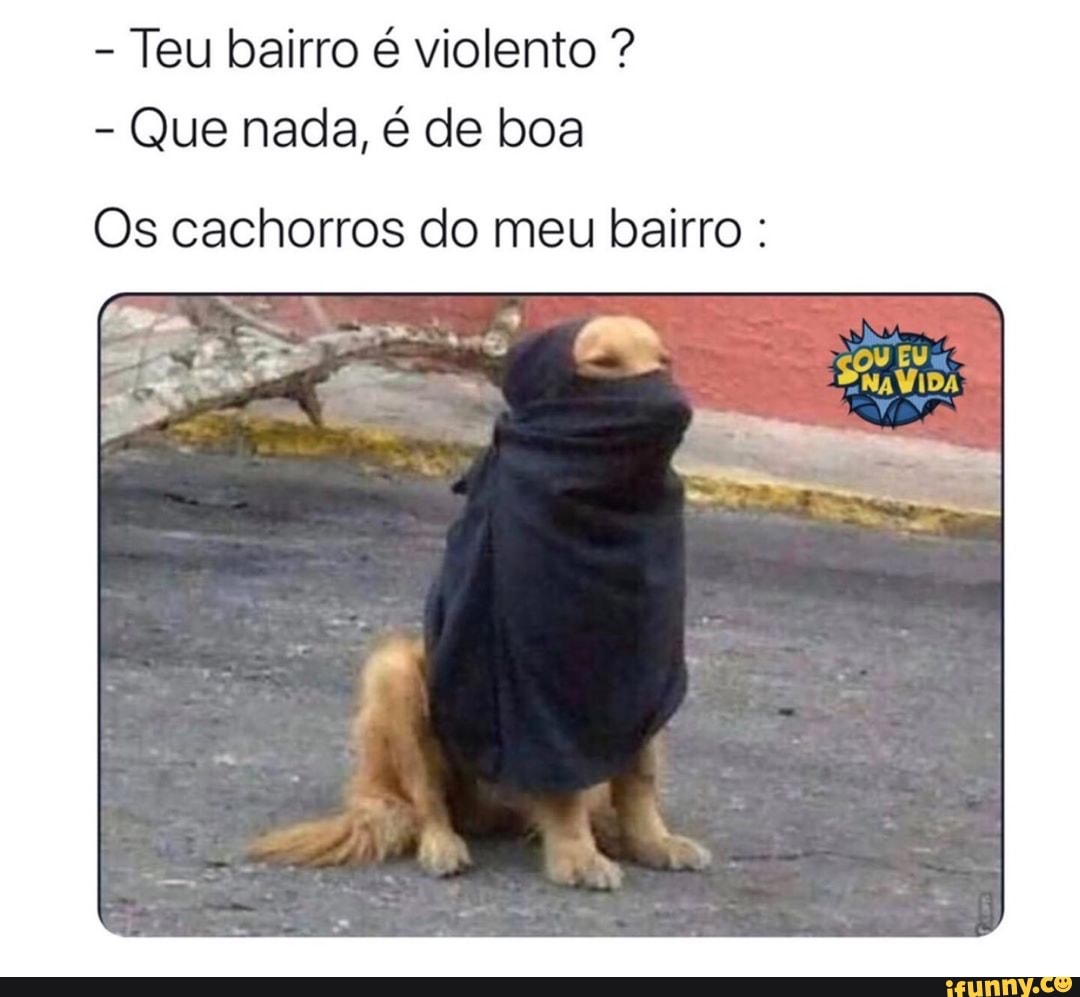 Teu bairro é violento Que nada, é de boa
Os cachorros do meu bairro