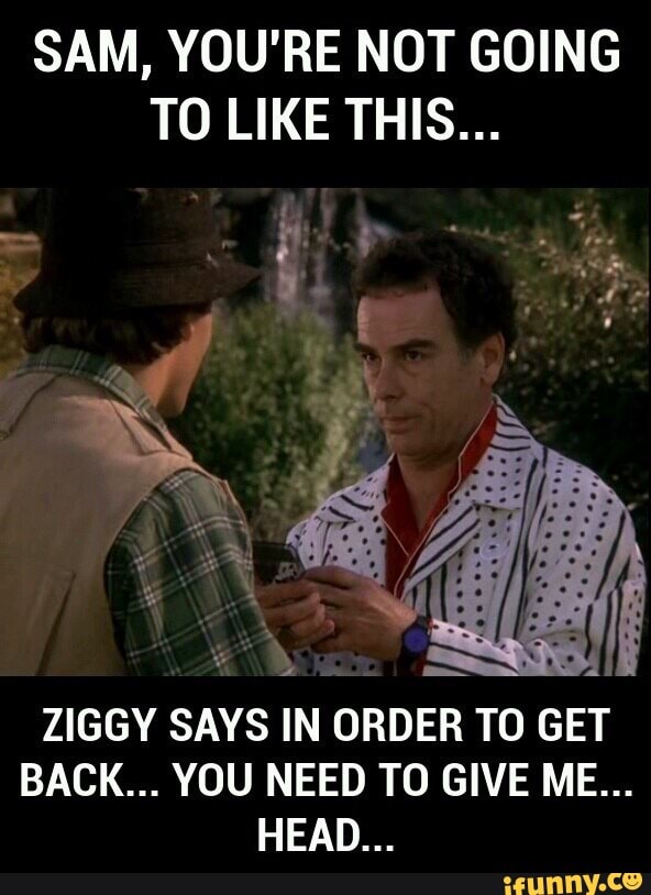 Ziggy memes. Best Collection of funny Ziggy pictures on iFunny