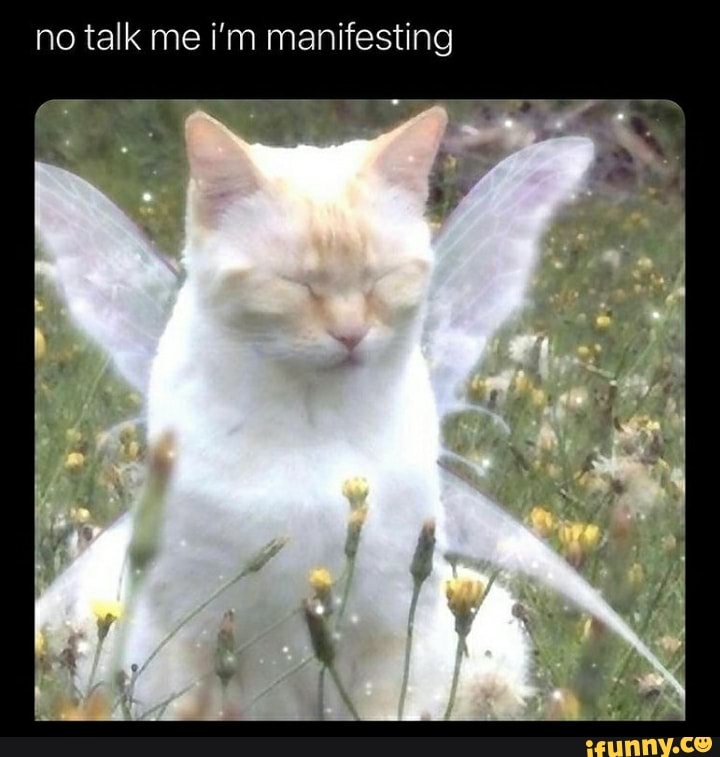 No Talk Me I M Manifesting Ifunny