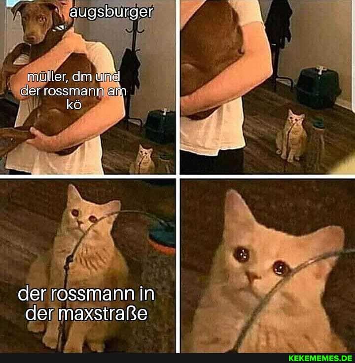 augsburger
müller, dn und der rossmann am kö
der rossmann in der maxstraße
