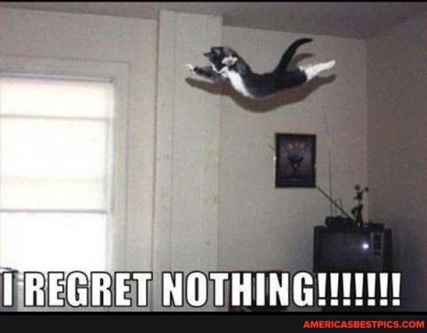 REGRET NOTHINGI