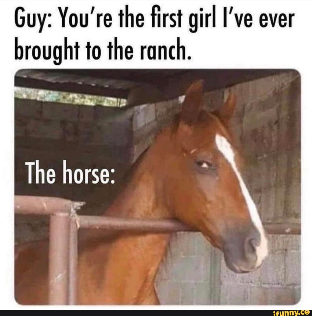 Ranch memes. Best Collection of funny Ranch pictures on iFunny
