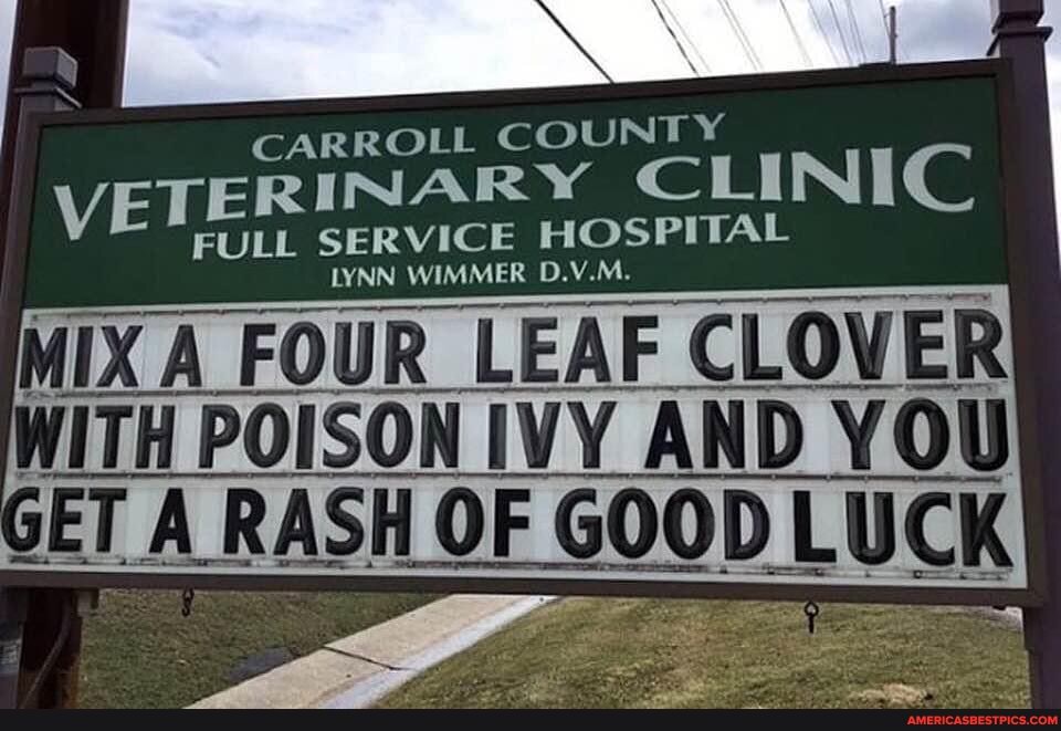 CARROLL COUNT Y VETERINARY CLINIC FULL SERVICE HOSPITAL LYNN WIMMER D.V.M.
MIX A FOUR LEAF CLOVER WITH POISON IVY AND YOU GET A RASH OF GOOD LUCK