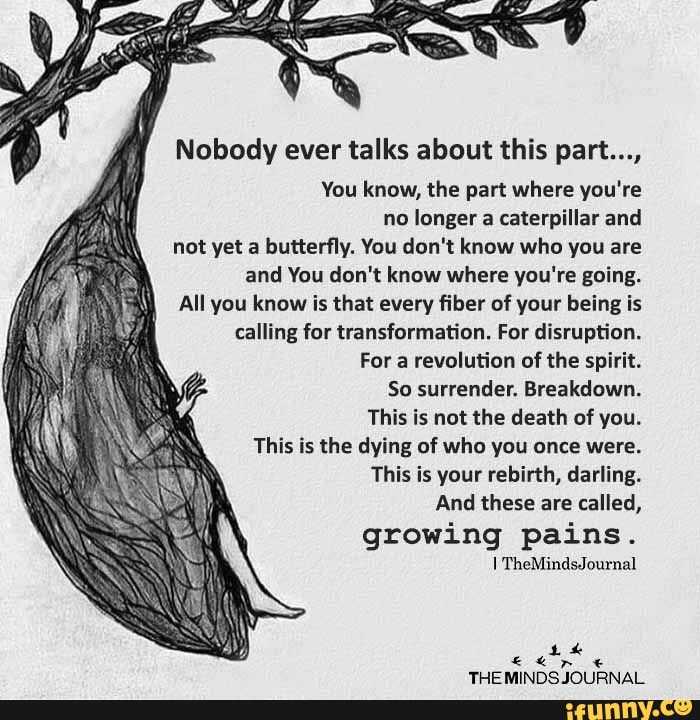 Nobody ever talks about this part..., You know, the part where you're