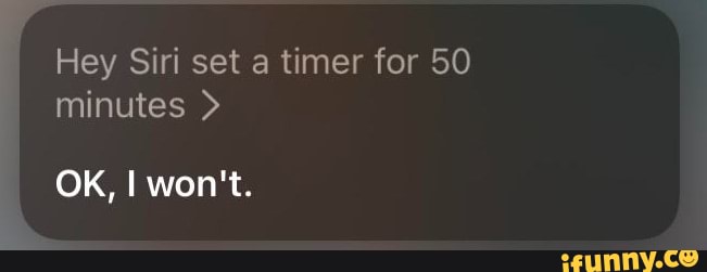 hey siri can you set a timer for 10 minutes