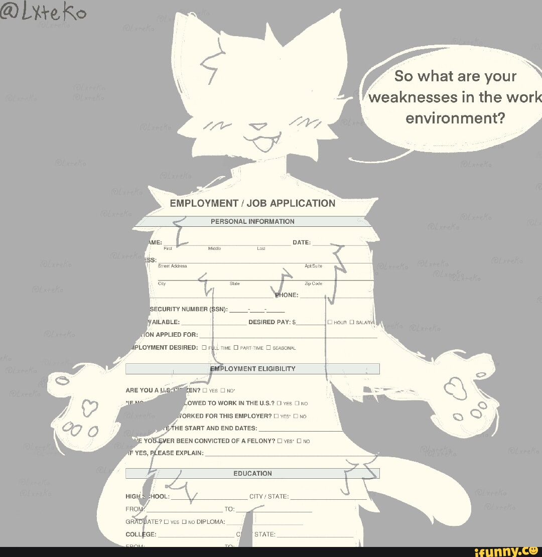 So what are your weaknesses in the work environment? EMPLOYMENT / JOB  APPLICATION EDUCATION CITY STATE: COLLEGE: - iFunny