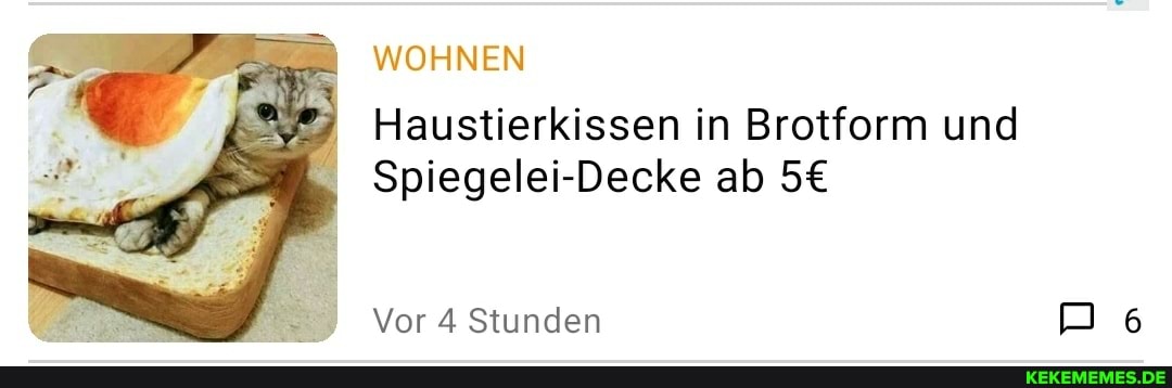 WOHNEN
Haustierkissen in Brotform und
Spiegelei-Decke ab
Vor 4 Stunden