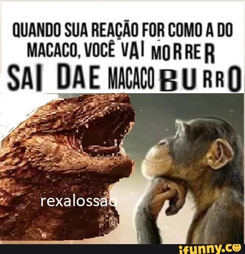 QUANDO SUA REAÇÃO FOR COMO A DO MACACO, VOCÊ VAI MORRE R
SAI DAE U RR
rexalossao