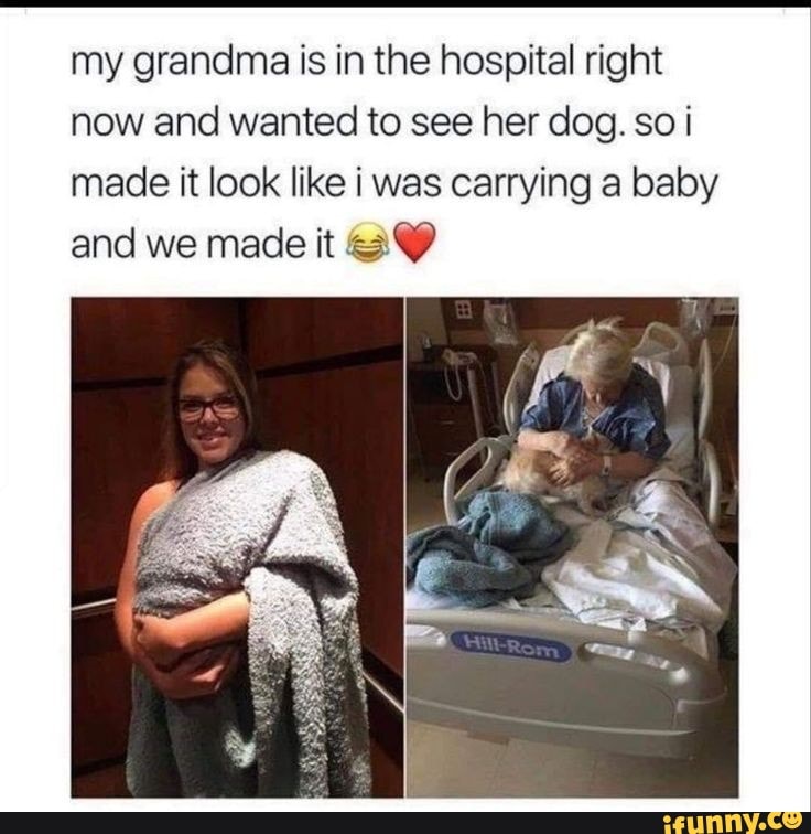 my grandma is in the hospital right
now and wanted to see her dog. soi
made it look like i was carrying a baby
and we made it