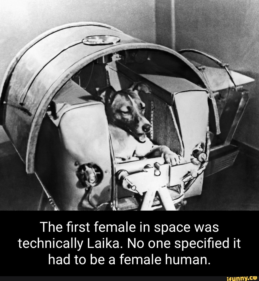 the-first-female-in-space-was-technically-laika-no-one-specified-it-had-to-be-a-female-human