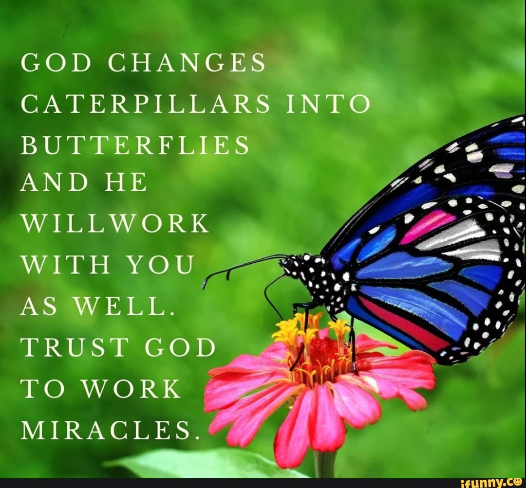 GOD CHANGES CATERPILLARS INTO BUTTERFLIES AND HE WILLWORK WITH AS WELL ...