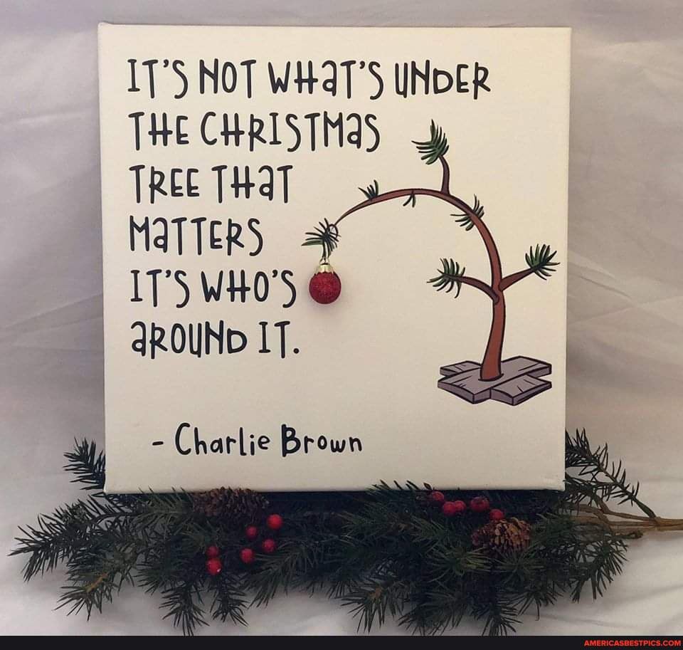 ✯ It's not what's under the Christmas tree that matters, it's who