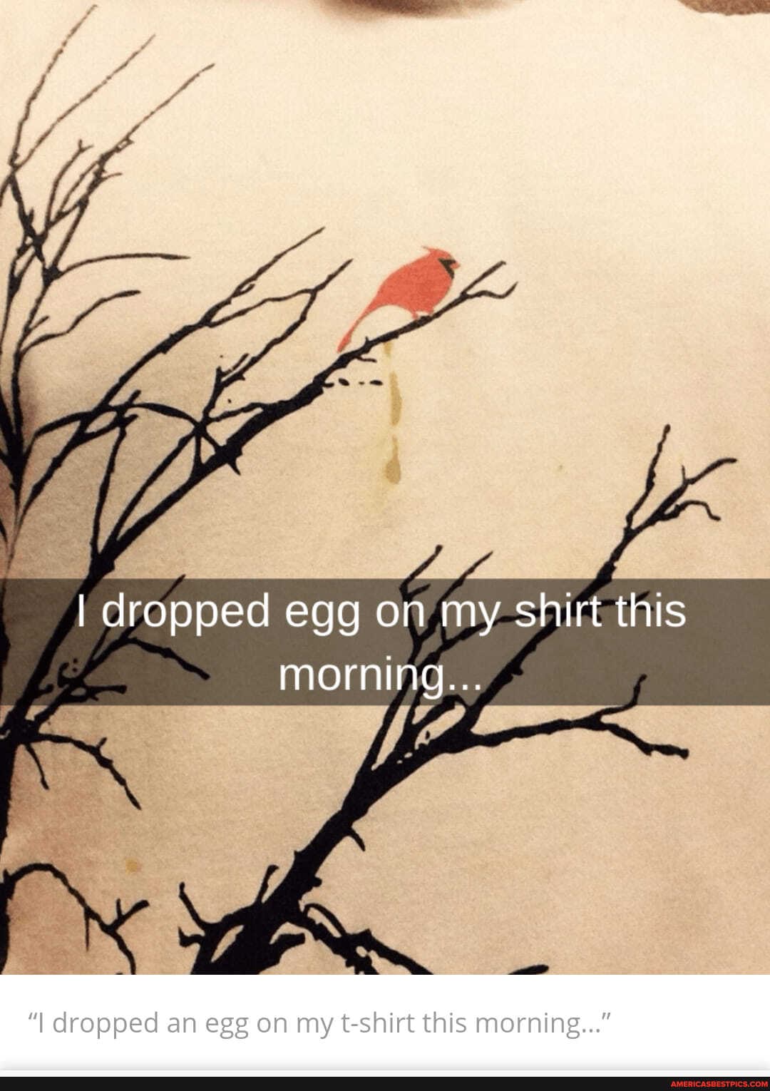I dropped egg on my shirt this
morning...
"I dropped an egg on my t-shirt this morning..."